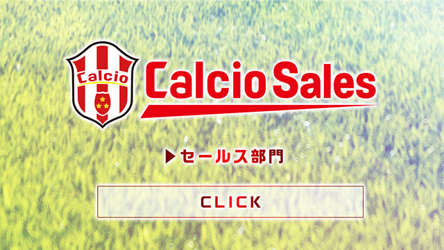 Calcio Sales